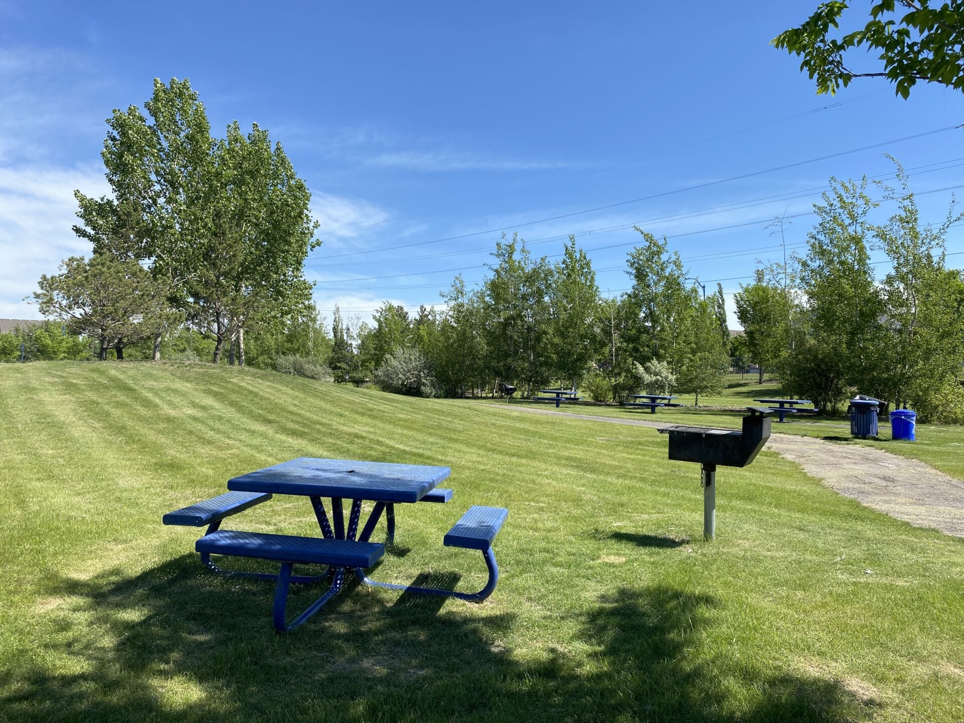 BBQ Area Lake Summerside
